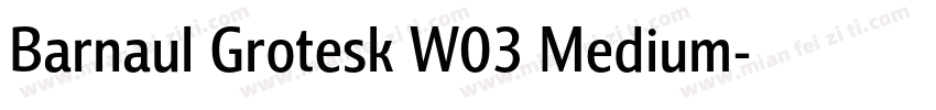 Barnaul Grotesk W03 Medium字体转换